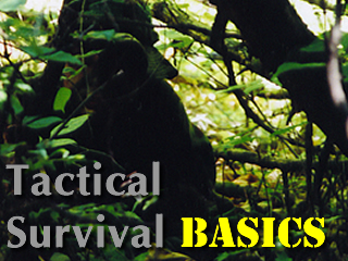 Tactical Survival Basics